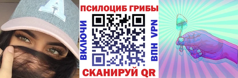Псилоцибиновые грибы мухоморы  где продают наркотики  Электрогорск 
